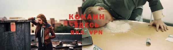 шишки Козельск